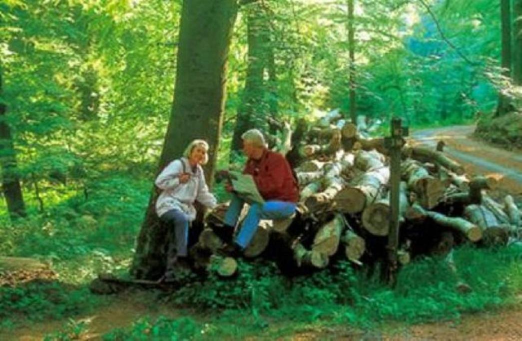Typ Fuchsbau Hotell Schmallenberg Exteriör bild